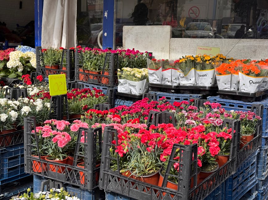 A display of vibrant pink, white, and orange flowers arranged in small terracotta pots, placed in black plastic crates outside a flower shop. The flowers include carnations and marigolds with lush gre