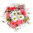 This radiant, hand-arranged bouquet brings together the colours and textures of Bexleyheath in a design that embodies pure joy and renewal. Central daisies shine in bright white, their vivid green centers offering cheerful energy that ripples through the arrangement. Nestled beside them, luscious coral-pink carnations, plush and ruffled, add vibrant volume and a welcoming touch, while clusters of tiny gypsophila drift gently throughout, as light and fleeting as morning mist across Martens Grove Park. Subtle buds of alstroemeria, kissed with pink and purple streaks, hint at new blossoms and hidden surprises. Framing the ensemble is a lively mix of foliage: soft eucalyptus in cool green tones and deeper sprigs that provide visual structure and balance. Each flower is placed with intention, reflecting the dedication of Bexleyheath florists to thoughtful, meaningful designs. This bouquet celebrates birthdays, thank-yous, or simply brightening someone's day, offering a piece of local beauty that feels both tranquil and exuberant. Its graceful arrangement and fresh palette evoke the optimism and shared moments of Bexleyheath, from the shops on Broadway to the quietude of local gardens-a true testament to the community's love for flowers and life's happiest moments.